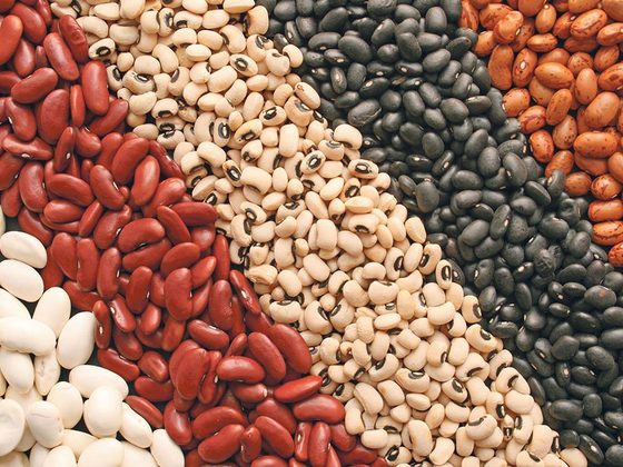 Beans (Kidney Beans) for export from Uganda