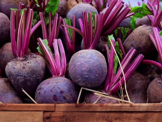 Beet Root for export from Uganda