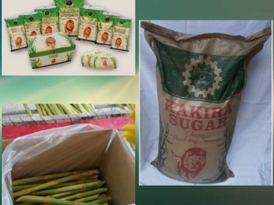 Cane Sugar & Sugarcane for export from Uganda