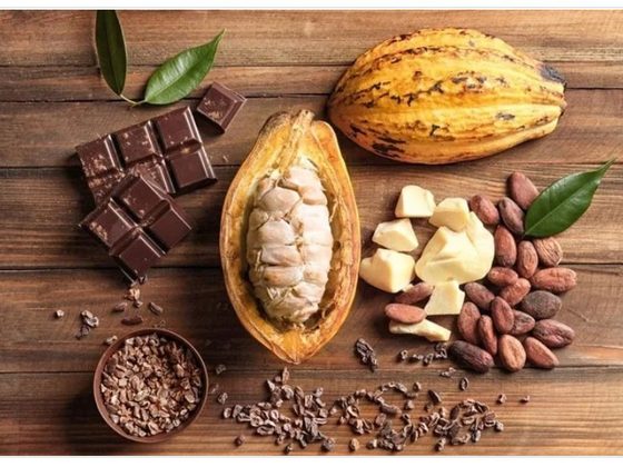 Cocoa for export from Uganda