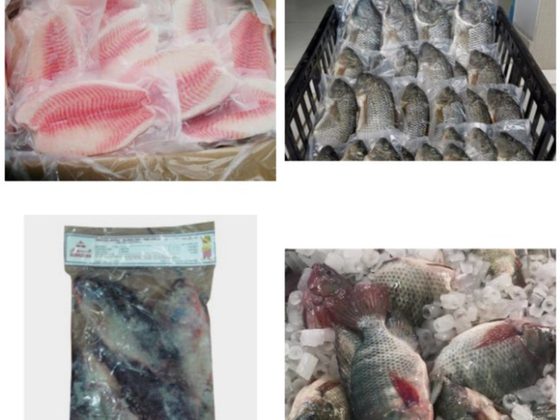 Fish for export from Uganda