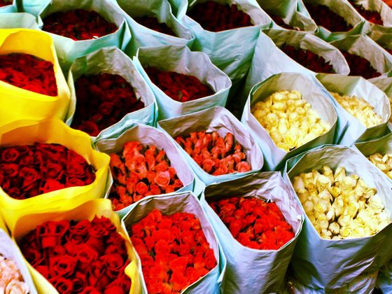 Flowers for export from Uganda