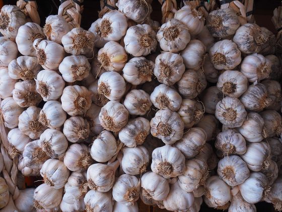 Garlic for export from Uganda