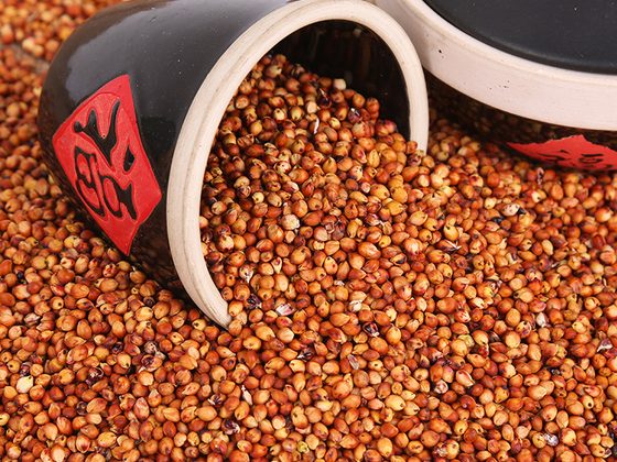 Grain Sorghum & Flour for export from Uganda
