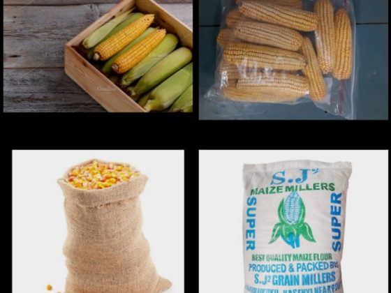 Maize & Maize Flour for export from Uganda