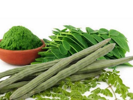 Moringa for export from Uganda
