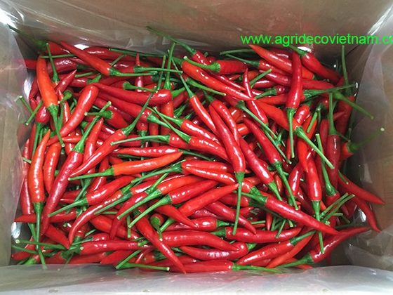 Pepper for export from Uganda