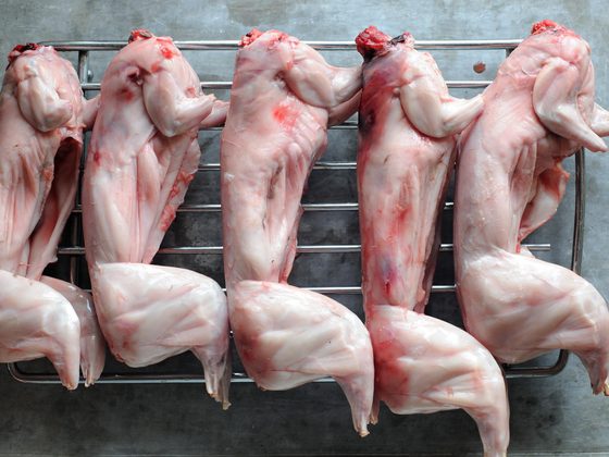 Rabbit Meat for export from Uganda