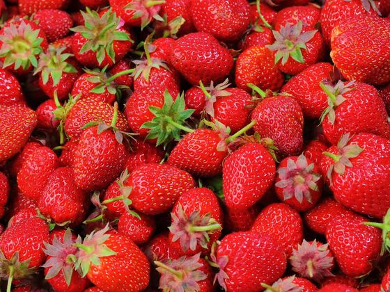 Strawberries for export from Uganda