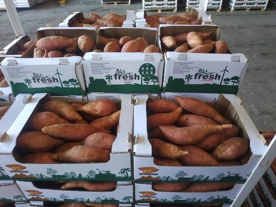 Sweet Potatoes for export from Uganda