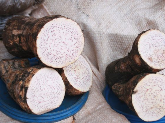 Yams for export from Uganda